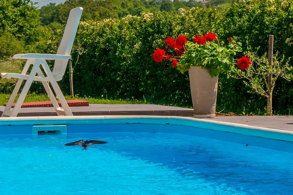 Ferienwohnung in Barban mit Pool 999209798 37699 – Foto 13