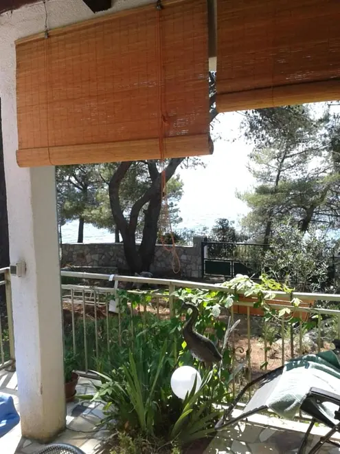 Ferienwohnung in Solta  999213012 40556