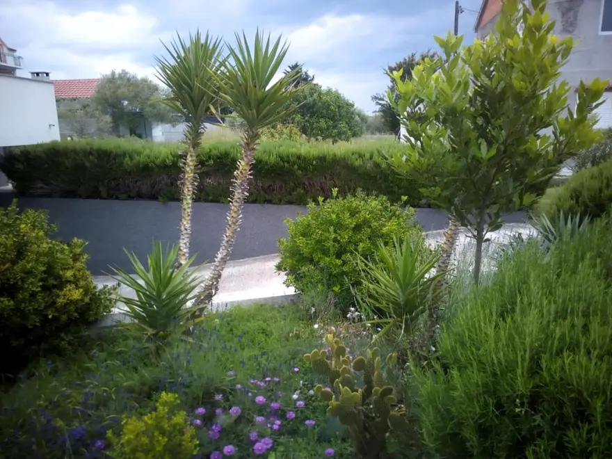 Ferienwohnung in Bibinje  999212265 39931 – Foto 16