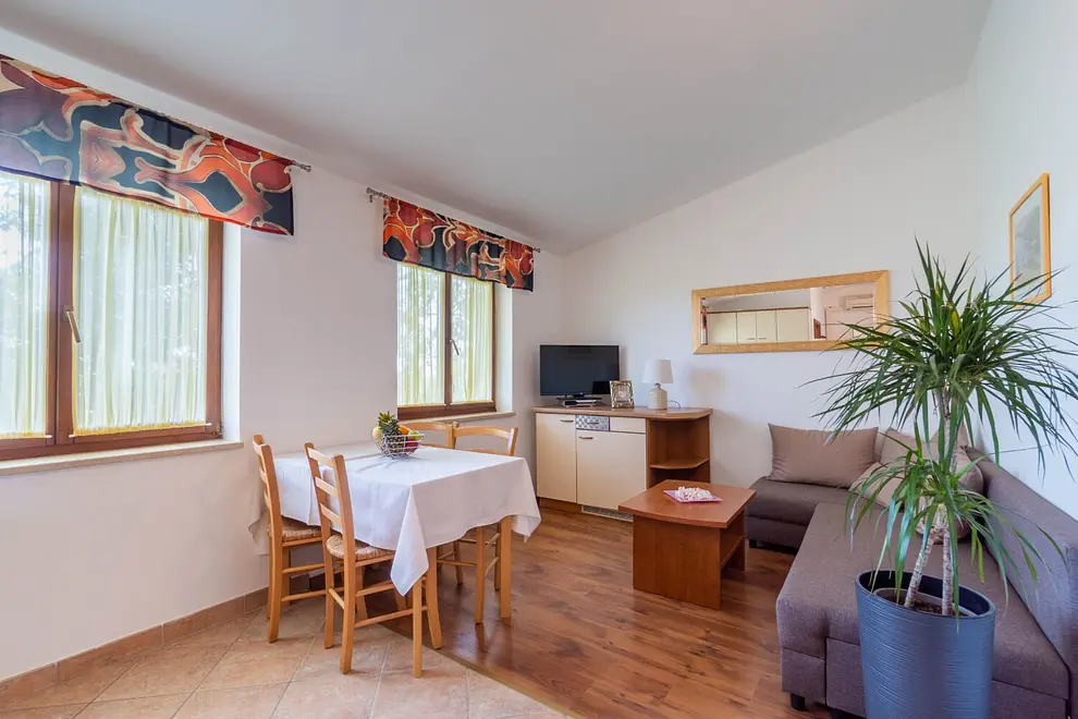 Ferienwohnung in Krnica mit Pool und haustiergeeignet 66156557 28639