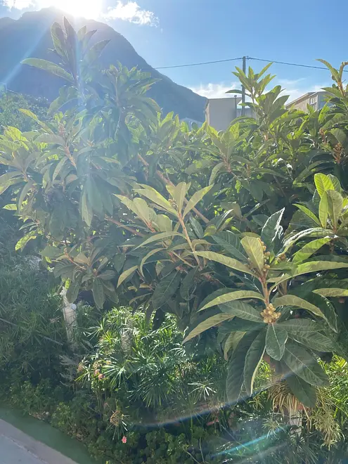 Ferienwohnung in Ploce haustiergeeignet 999210597 38443 – Foto 4