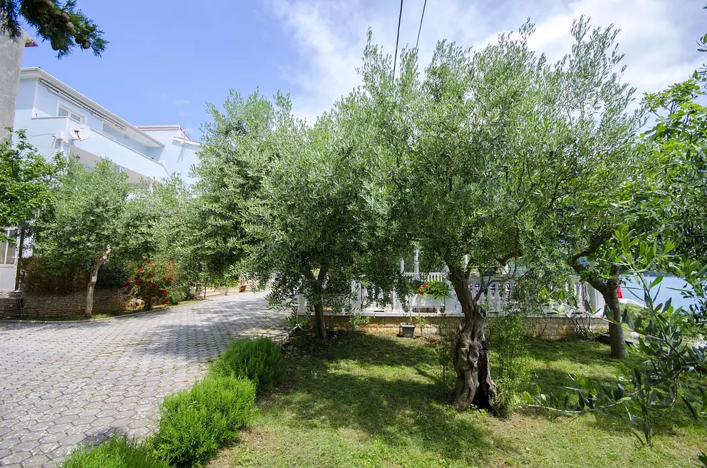 Ferienwohnung in Marcana  999203154 31411 – Foto 13
