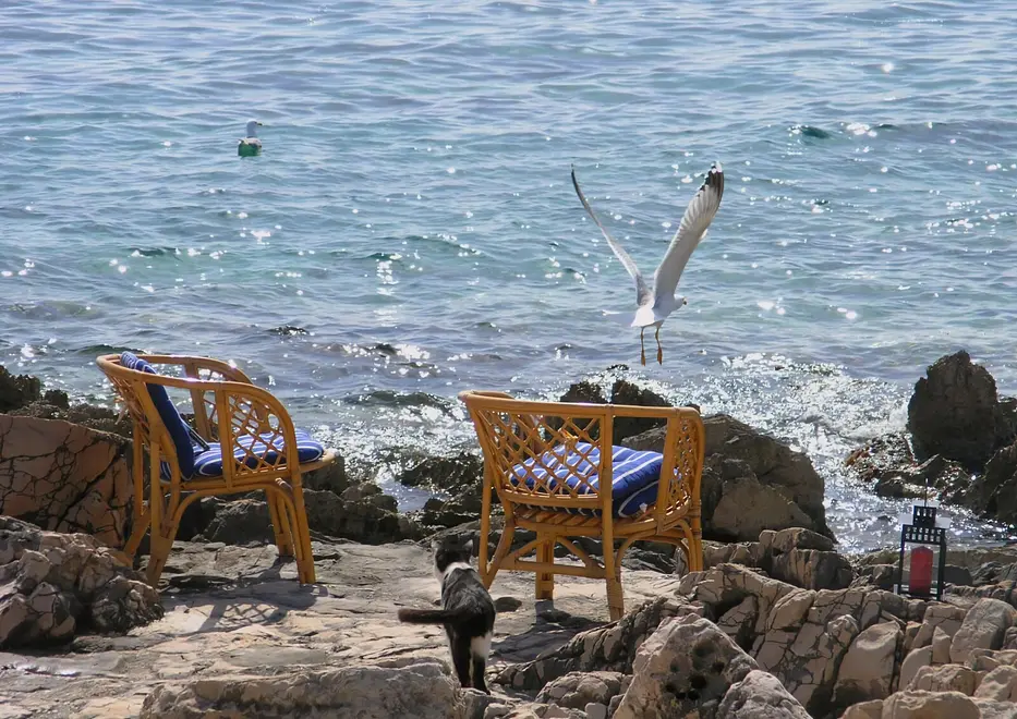 Ferienwohnung in Drvenik Veliki Island mit Pool 999211149 38963 – Foto 21