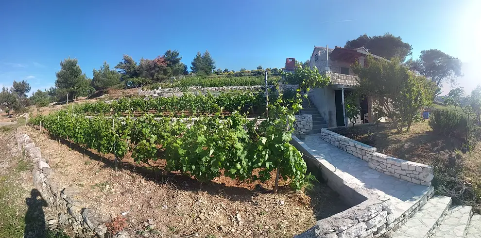 Ferienwohnung in Brac haustiergeeignet 999202862 31135 – Foto 18