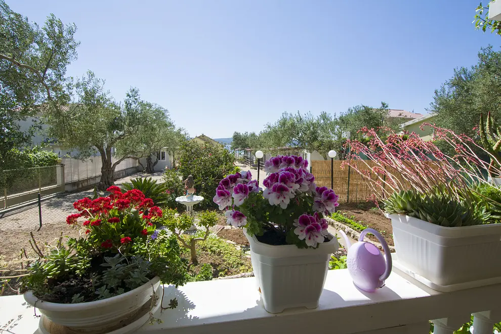 Ferienwohnung in Biograd haustiergeeignet 999209861 37760