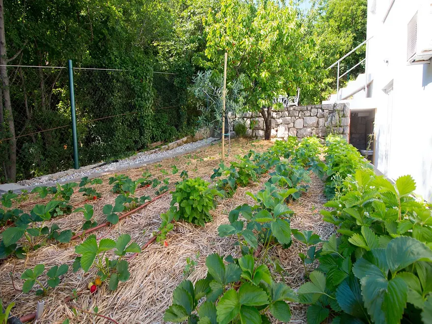 Ferienhaus in Crikvenica mit Pool 999207798 35813 – Foto 28