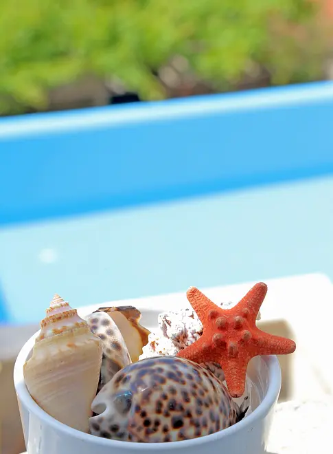 Ferienhaus in Mljet mit Pool 999206347 34453 – Foto 28