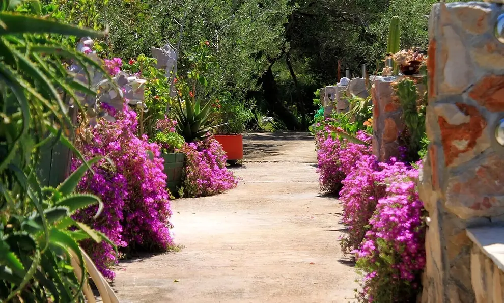 Ferienwohnung in Hvar haustiergeeignet 999203129 31386 – Foto 3