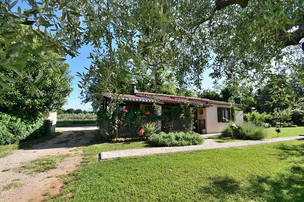 Ferienwohnung in Brtonigla  999207578 35613