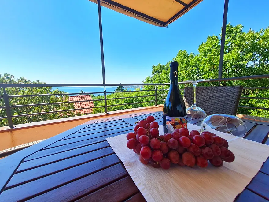 Ferienwohnung in Klenovica haustiergeeignet 66135803 19669