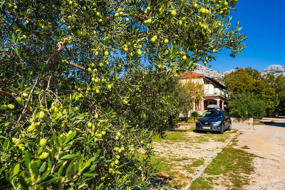 Ferienwohnung in Starigrad haustiergeeignet 999210135 38013 – Foto 5