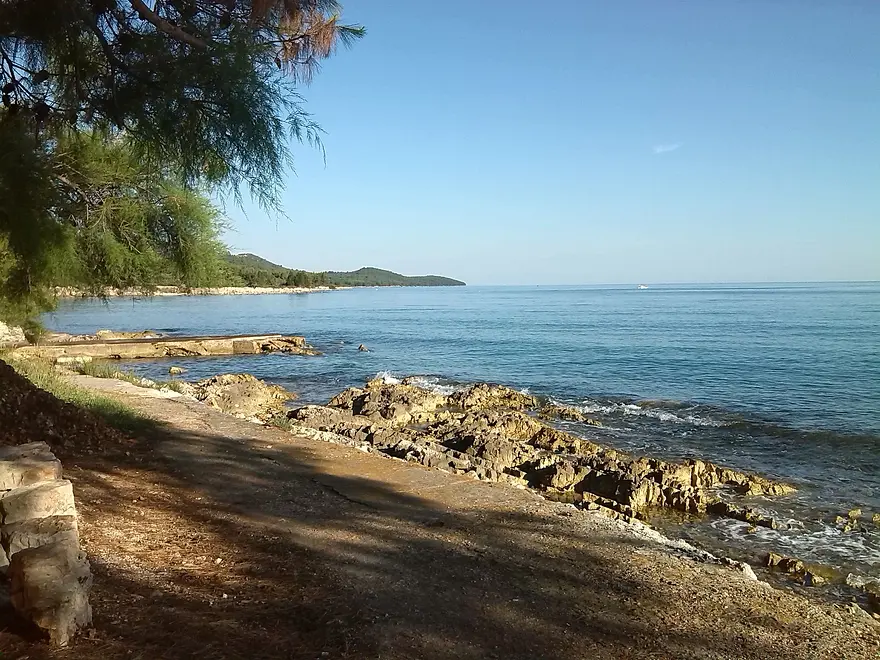 Ferienwohnung in Preko haustiergeeignet 66122523 10009