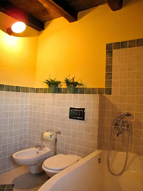 Ferienwohnung in Starigrad haustiergeeignet 999202626 30902