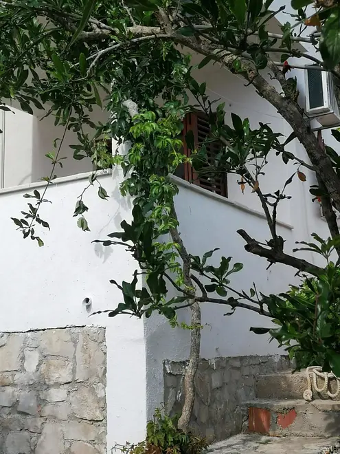 Ferienwohnung in Solta  999210926 38757 – Foto 10