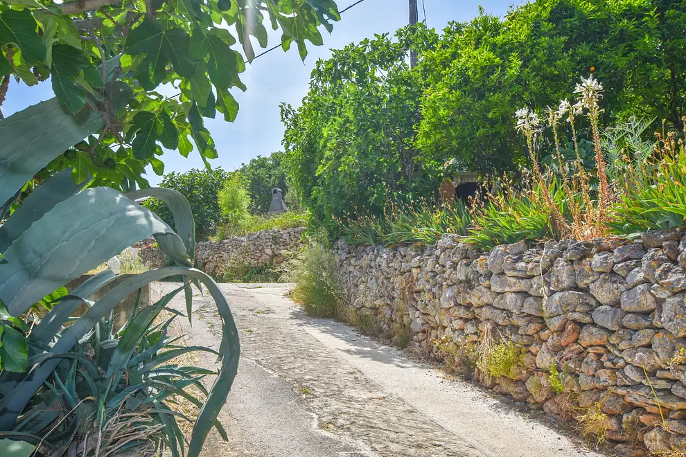 Ferienwohnung in Dugi Otok  999208395 36362 – Foto 25