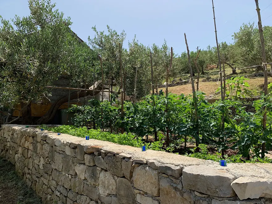Ferienwohnung in Brac  999202976 31241 – Foto 21