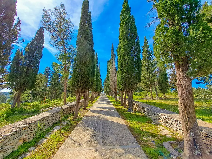 Ferienwohnung in Brac mit Pool 66153637 27253