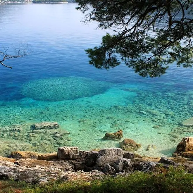 Ferienwohnung in Lastovo  999206247 34361 – Foto 7
