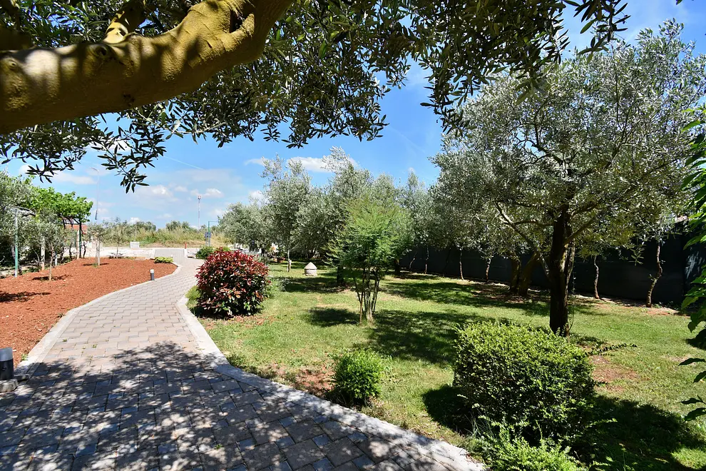 Ferienwohnung in Fazana  66128044 14305