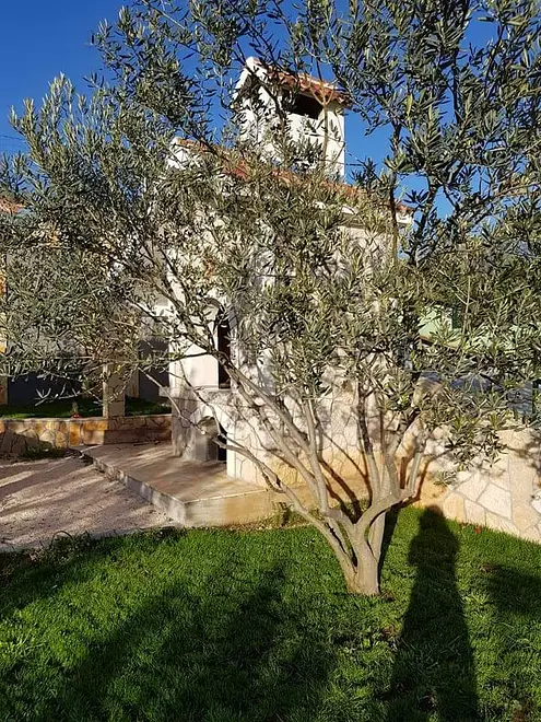 Ferienhaus in Makarska mit Pool 999208082 36059 – Foto 79