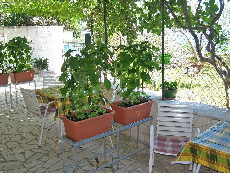 Ferienwohnung in Seget  999203054 31313 – Foto 9
