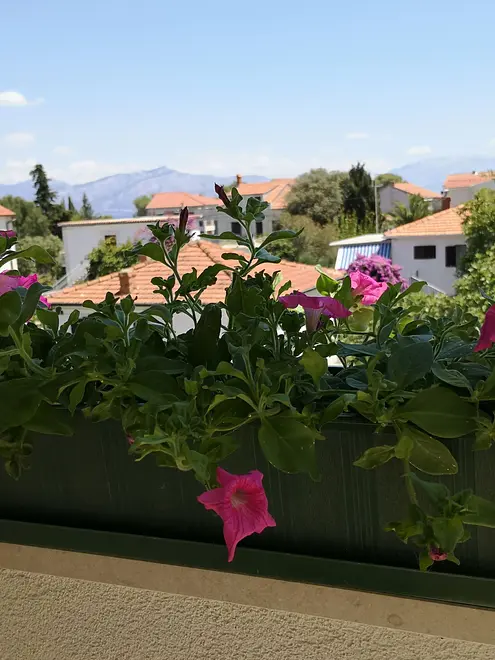 Ferienwohnung in Brac  999203065 31324 – Foto 17