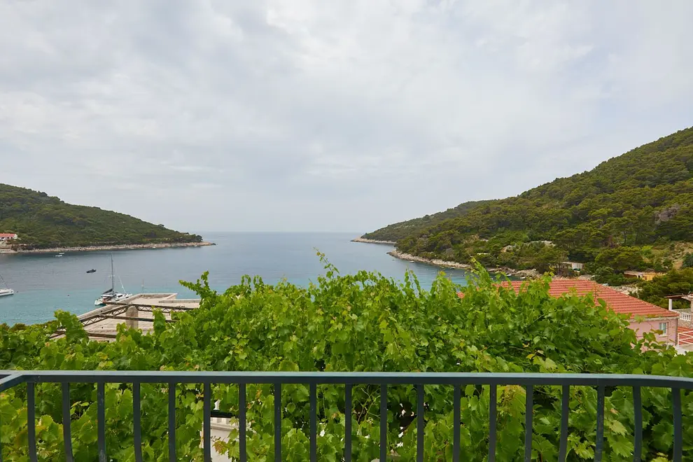 Ferienwohnung in Mljet haustiergeeignet 66157980 29108
