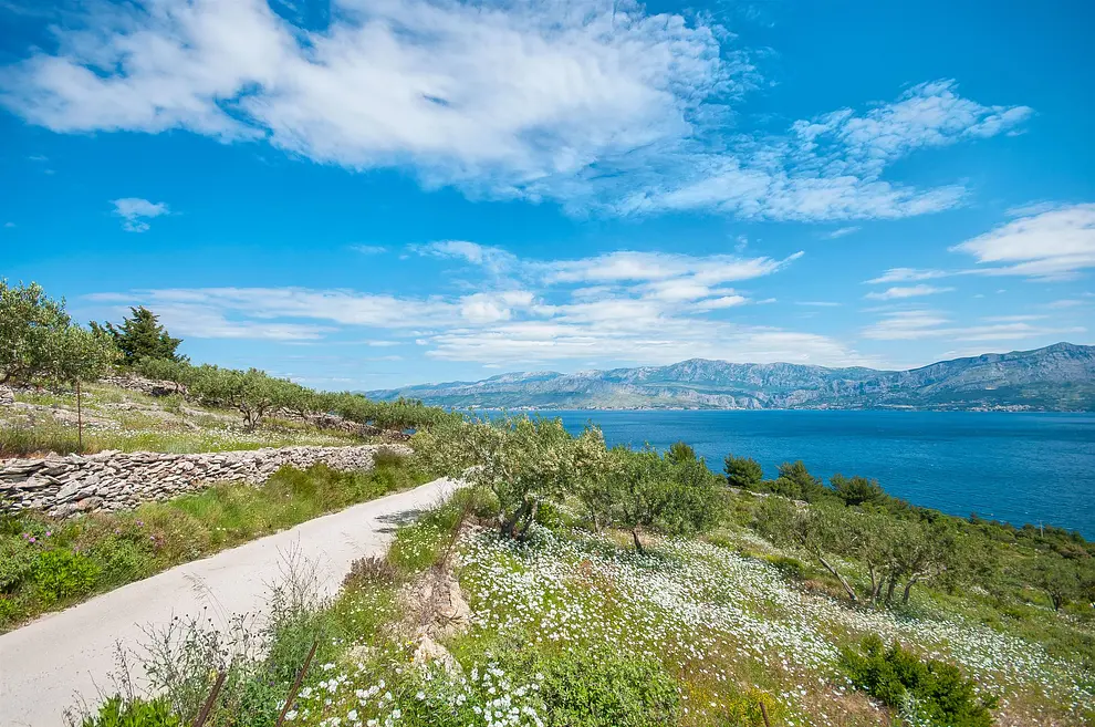 Ferienwohnung in Brac  999203081 31340 – Foto 3