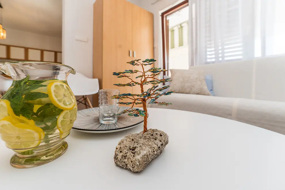 Ferienwohnung in Sukosan  66141195 23261