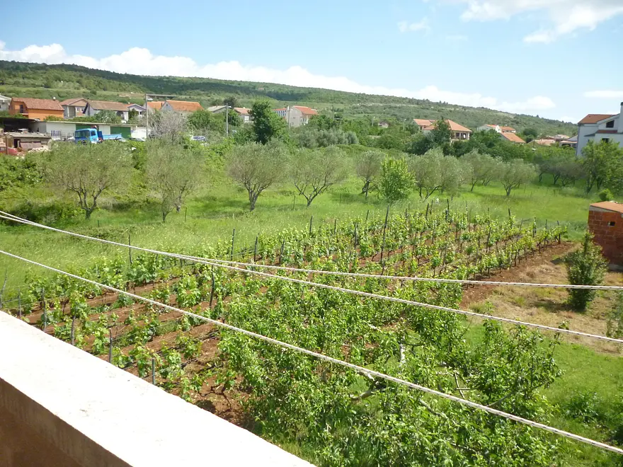 Ferienwohnung in Posedarje  66114952 5112