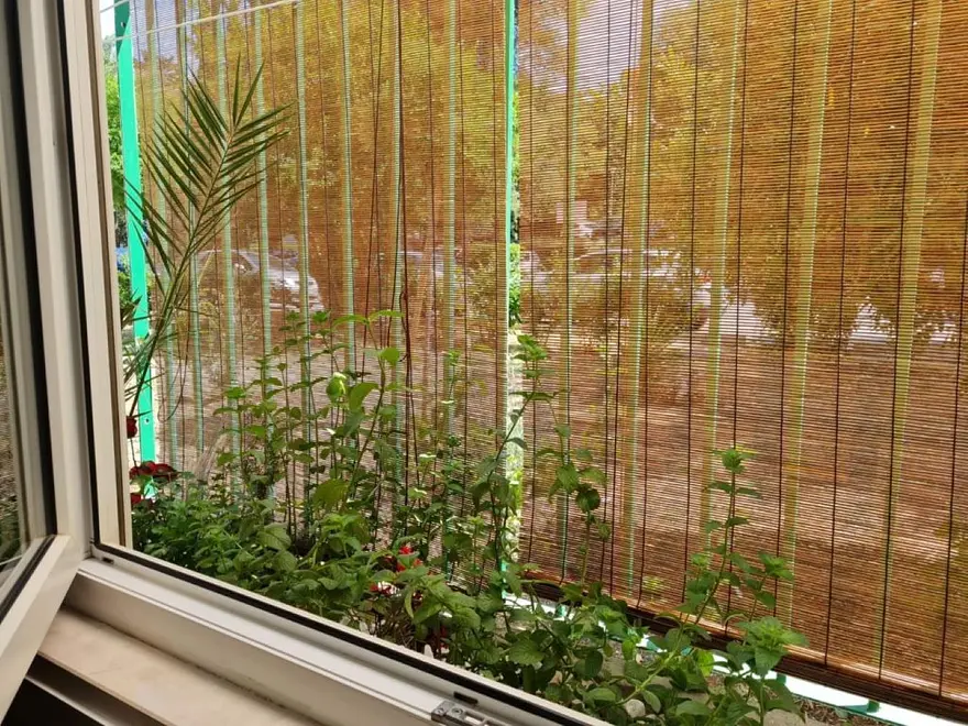 Ferienwohnung in Split  66154512 27863