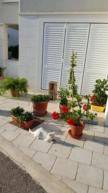 Ferienwohnung in Dubrovnik  999212195 39876 – Foto 8