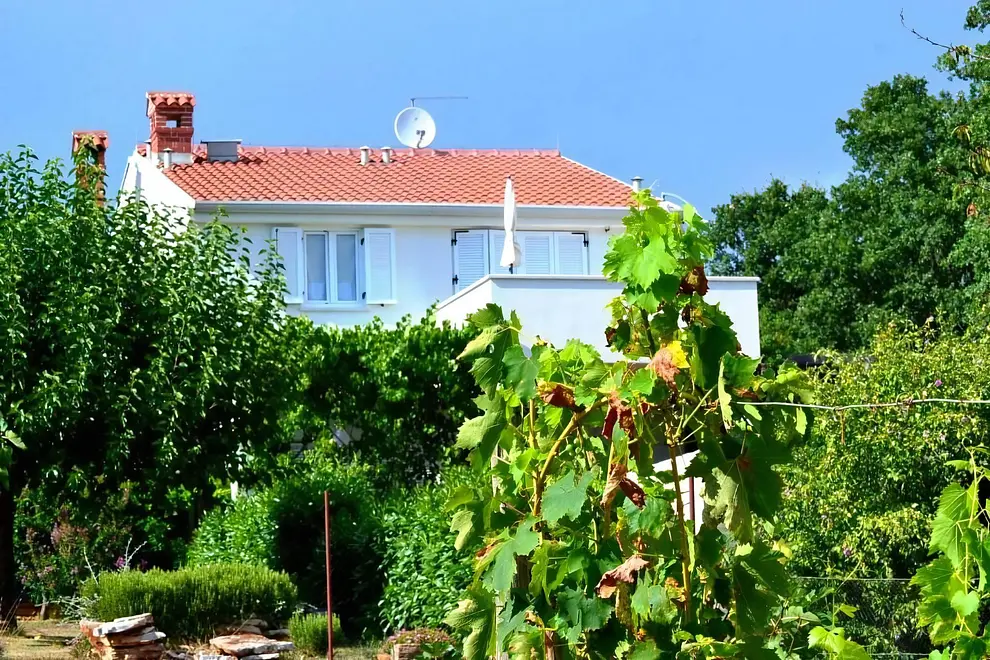 Ferienwohnung in Brtonigla  999212122 39814 – Foto 4