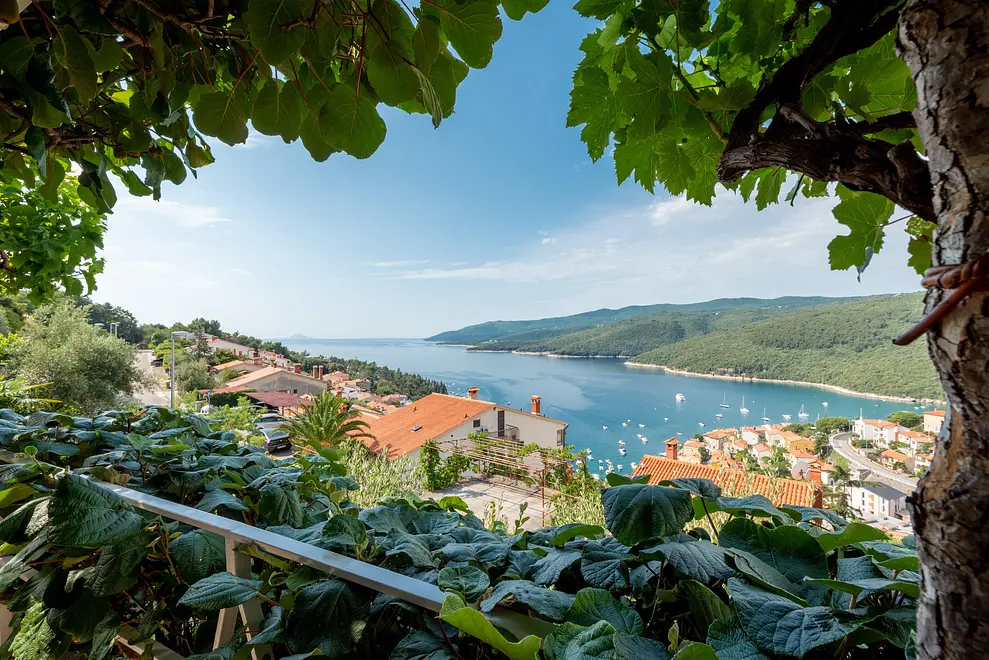 Ferienwohnung in Labin haustiergeeignet 6616493 1591