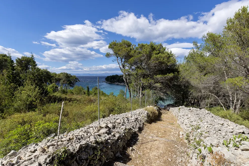 Ferienhaus in Brac mit Pool 999208061 36039 – Foto 3