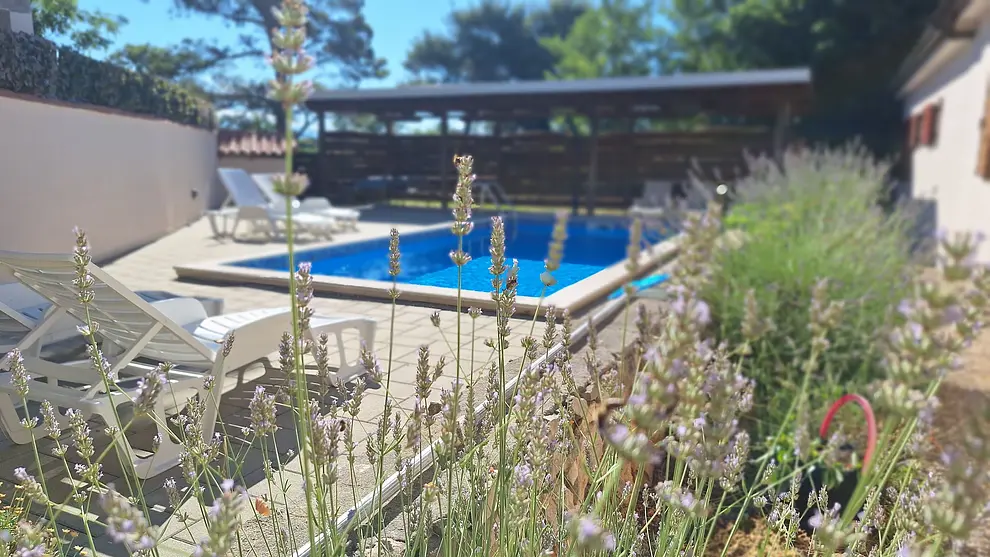 Ferienwohnung in Vir mit Pool 999236743 43019 – Foto 10