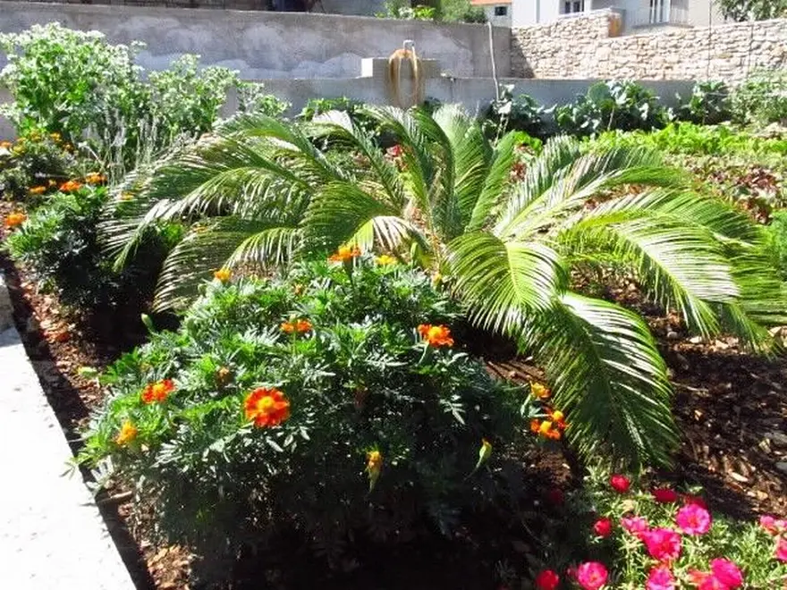 Ferienwohnung in Brac  999202699 30973 – Foto 9