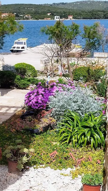 Ferienwohnung in Dugi Otok  999209994 37888 – Foto 2
