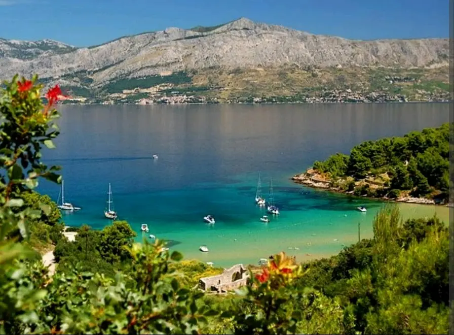 Ferienwohnung in Brac haustiergeeignet 999210858 38692 – Foto 21