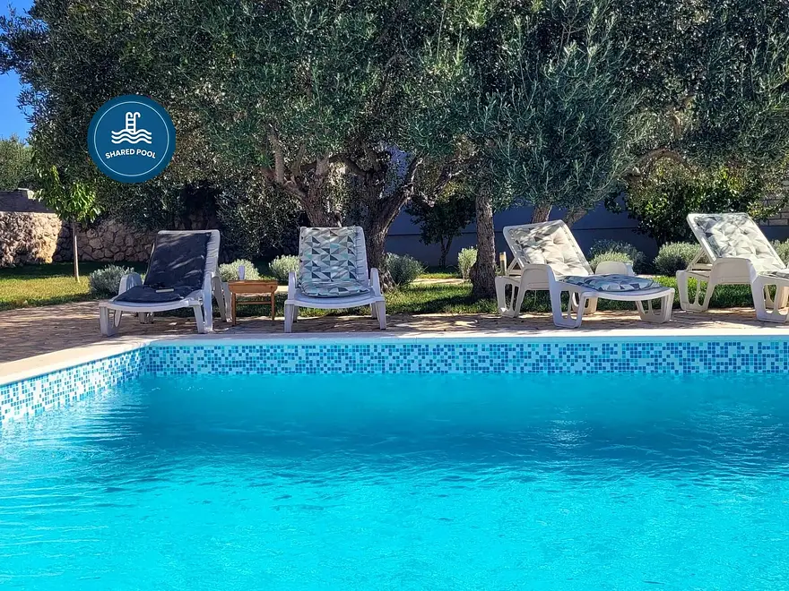 Ferienwohnung in Pirovac mit Pool und haustiergeeignet 66156858 28729