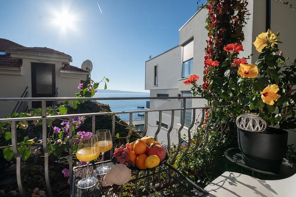 Ferienwohnung in Omis haustiergeeignet 66152595 26424