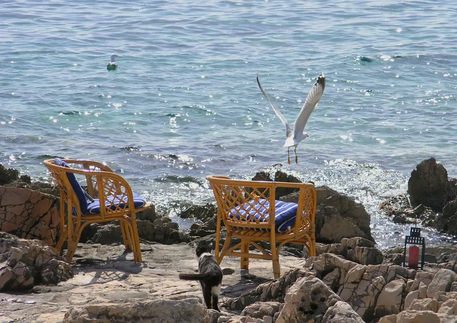 Ferienwohnung in Drvenik Veliki Island mit Pool 999211149 38963