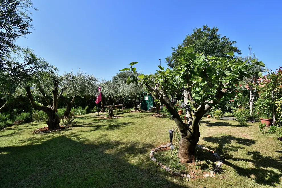 Ferienwohnung in Porec haustiergeeignet 999212396 40036 – Foto 28