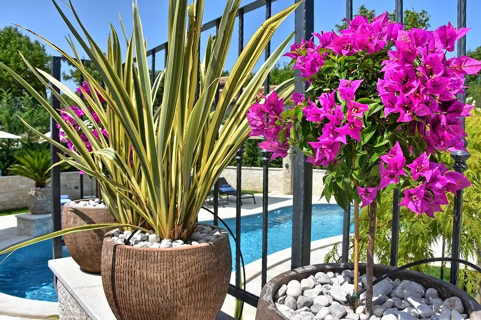 Ferienwohnung in Pican mit Pool 999223770 41886 – Foto 32