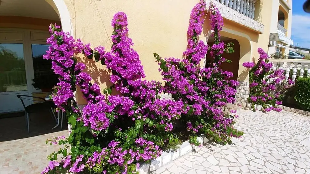 Ferienwohnung in Crikvenica  999210577 41231 – Foto 20
