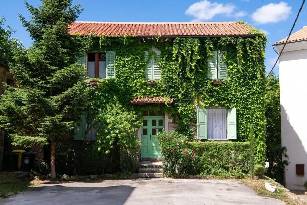 Ferienwohnung in Buje  999224060 42170 – Foto 2