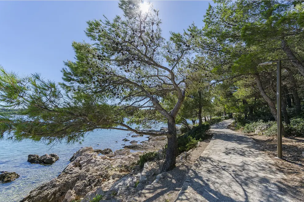 Ferienwohnung in Murter haustiergeeignet 66144337 25104