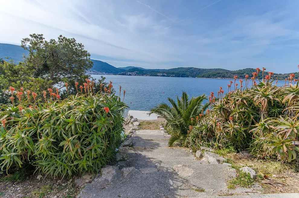 Ferienwohnung in Vis  999202959 31224 – Foto 6