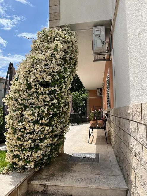 Ferienwohnung in Split  999207868 35878 – Foto 2
