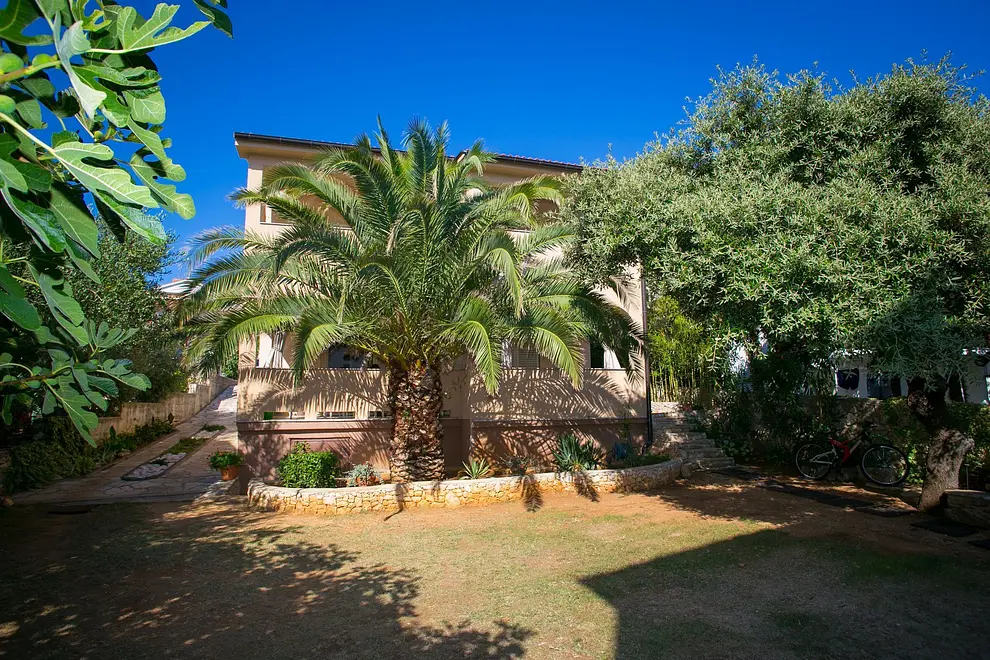 Ferienwohnung in Mandre haustiergeeignet 66153643 27259